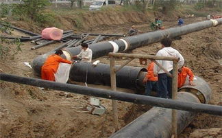 鞍山3PE防腐钢管厂家 守护管道生命线，助力工业发展